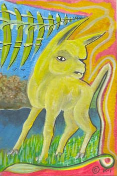 E-cartes : Omar Fassar Diouf - 8